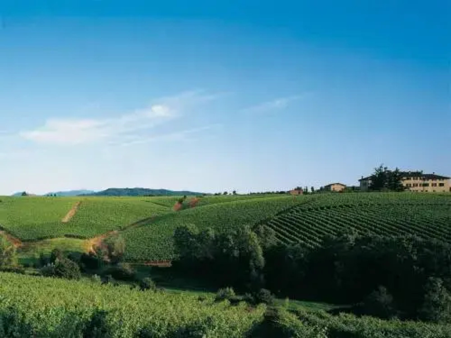 Agriturismo Tenuta la Marchesa