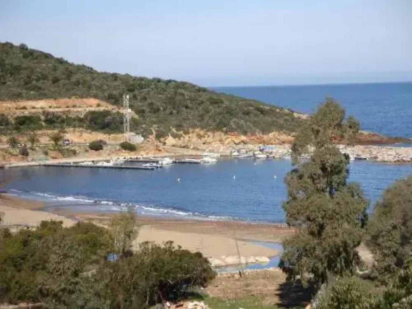 Fior di Macchia