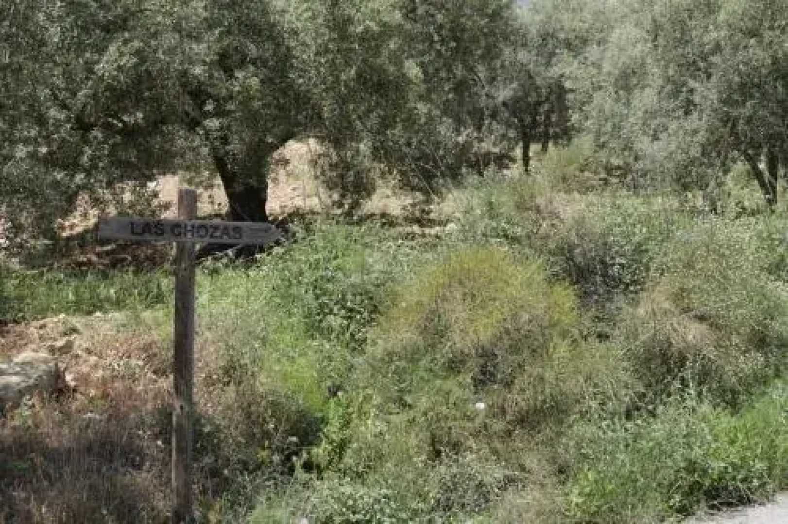 Casa Las Chozas