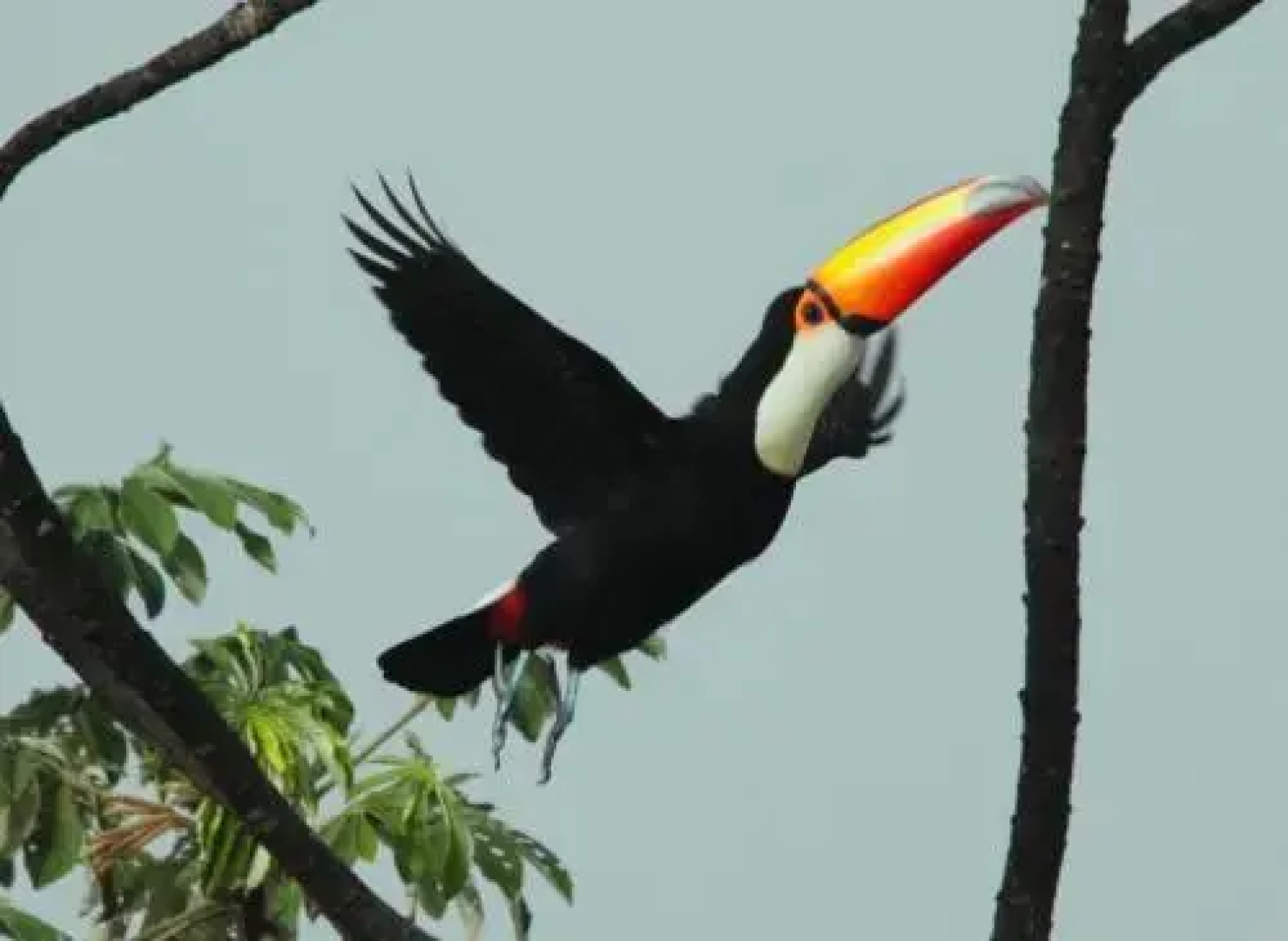 Hotel Chapadao Da Canastra