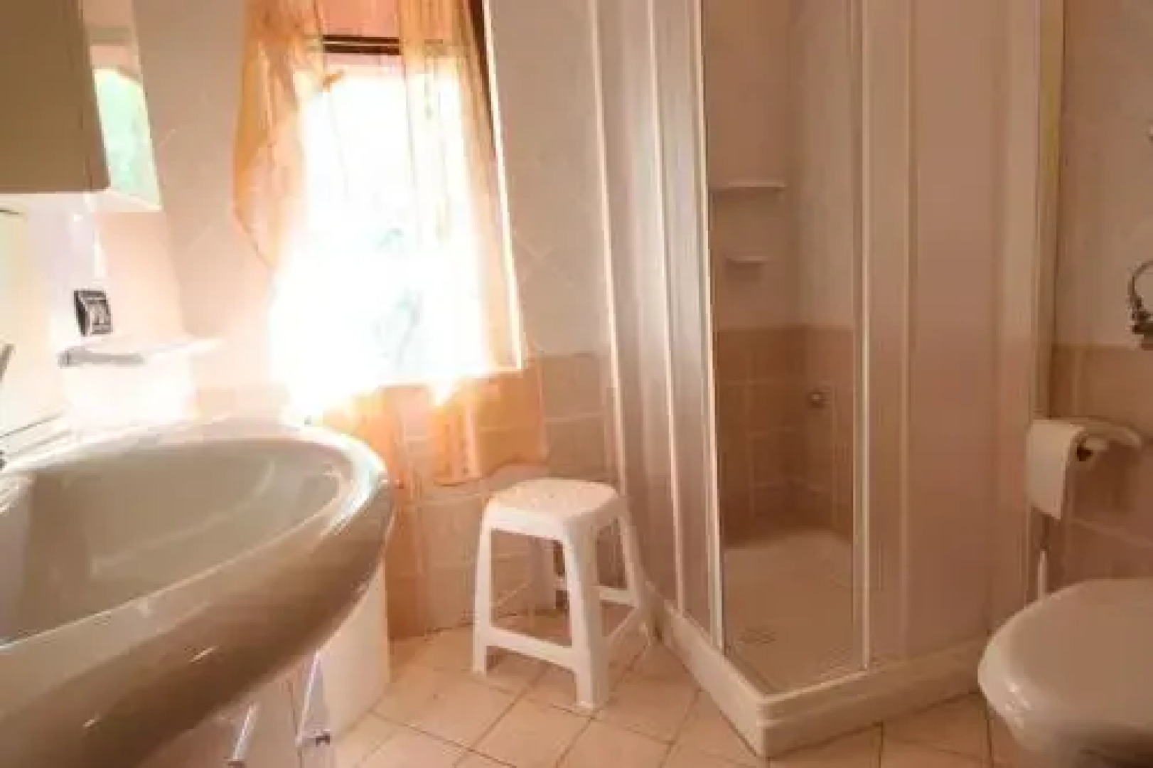 Cotriero Pineta White House