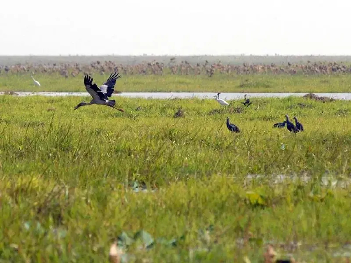 Moe Yun Gyi Wildlife Sanctuary & Wetlands Resort