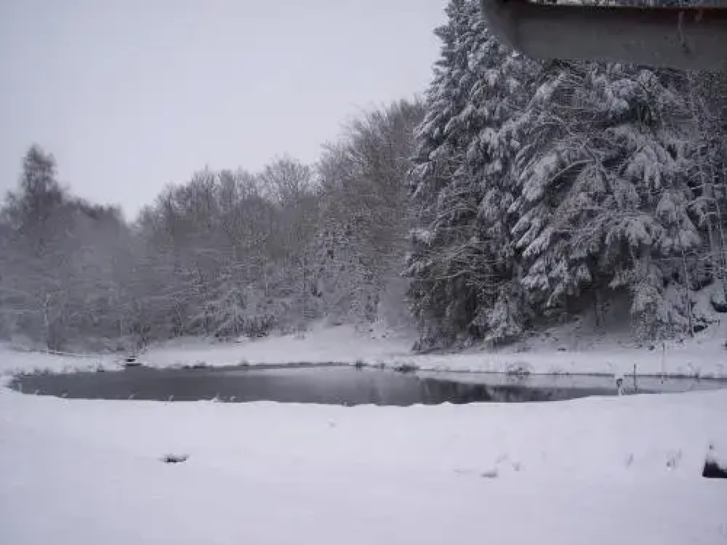 Chalet de l'Artense