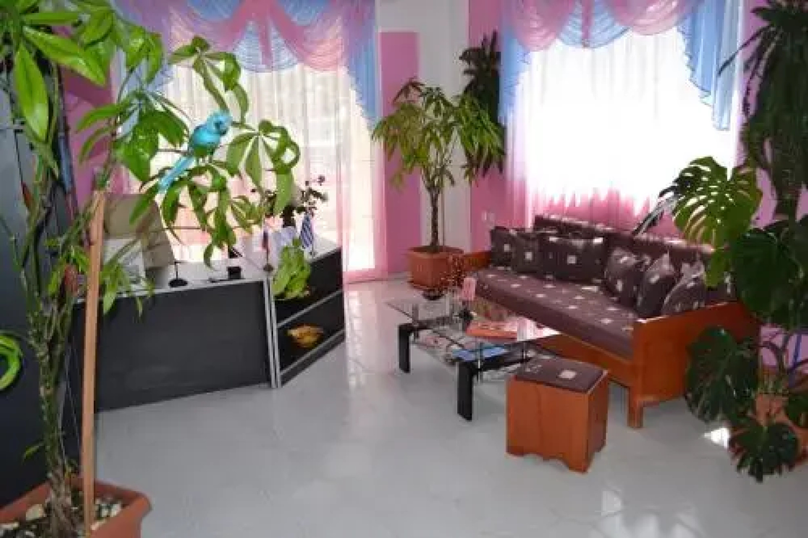 Bella Vista