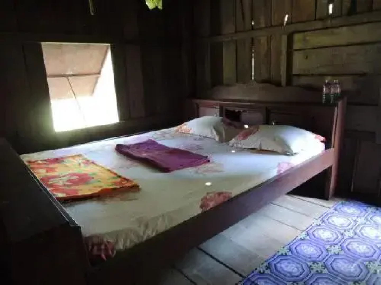 Laced Woodpecker Homestay