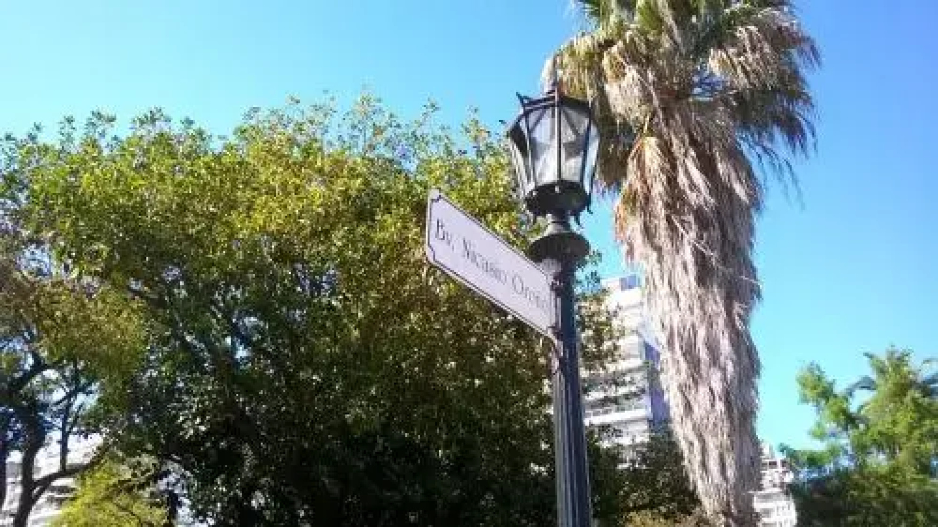 Studio Río