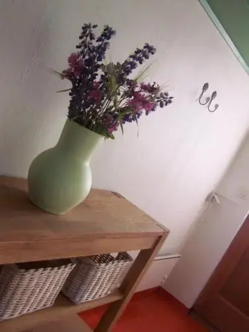 Móðir Jörð Organic B&B in Vallanes