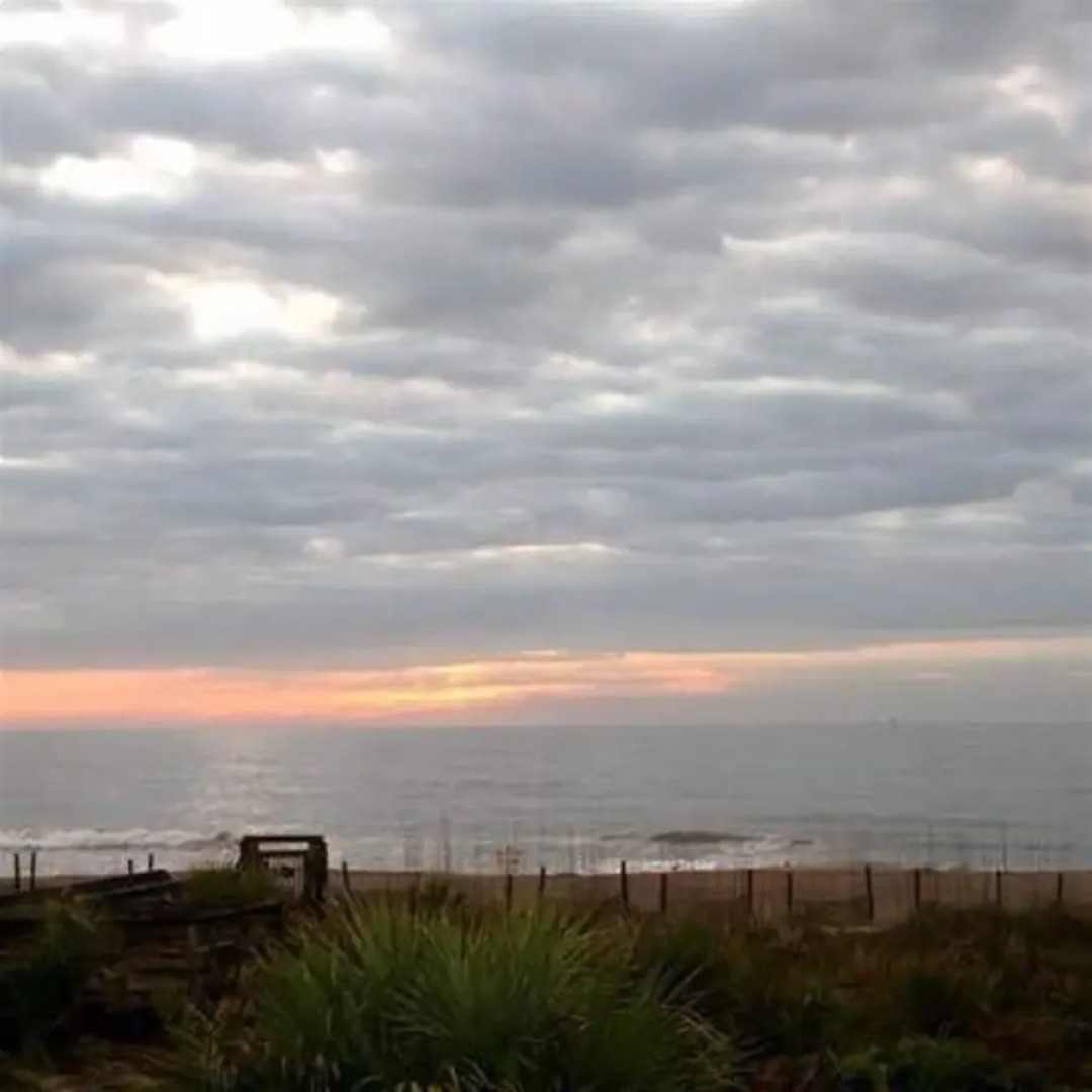 Summer Winds at Beachside Colony