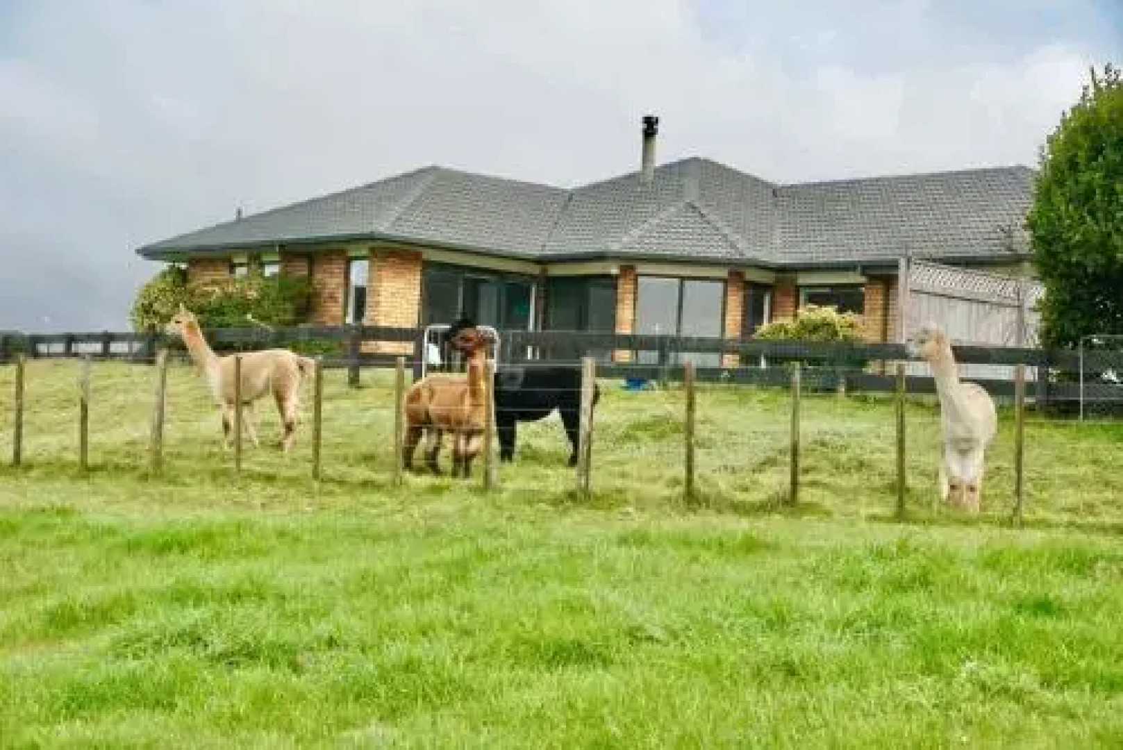 YiFan Lake View Manor In Rotorua