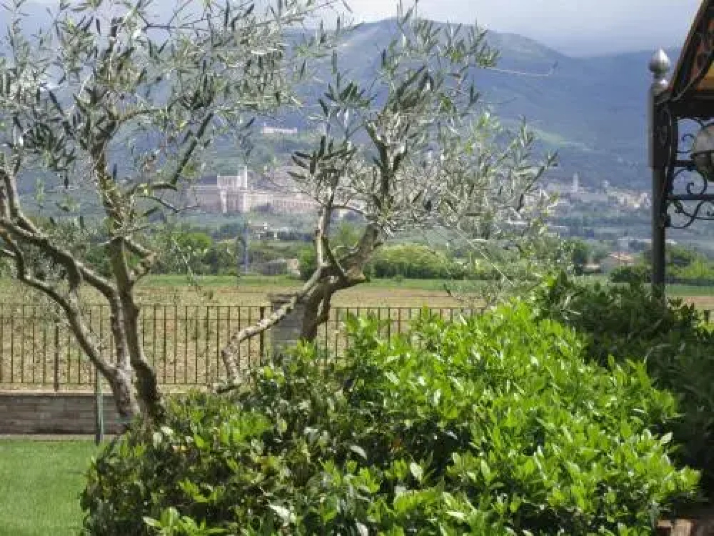 La Strada Di Francesco DAssisi