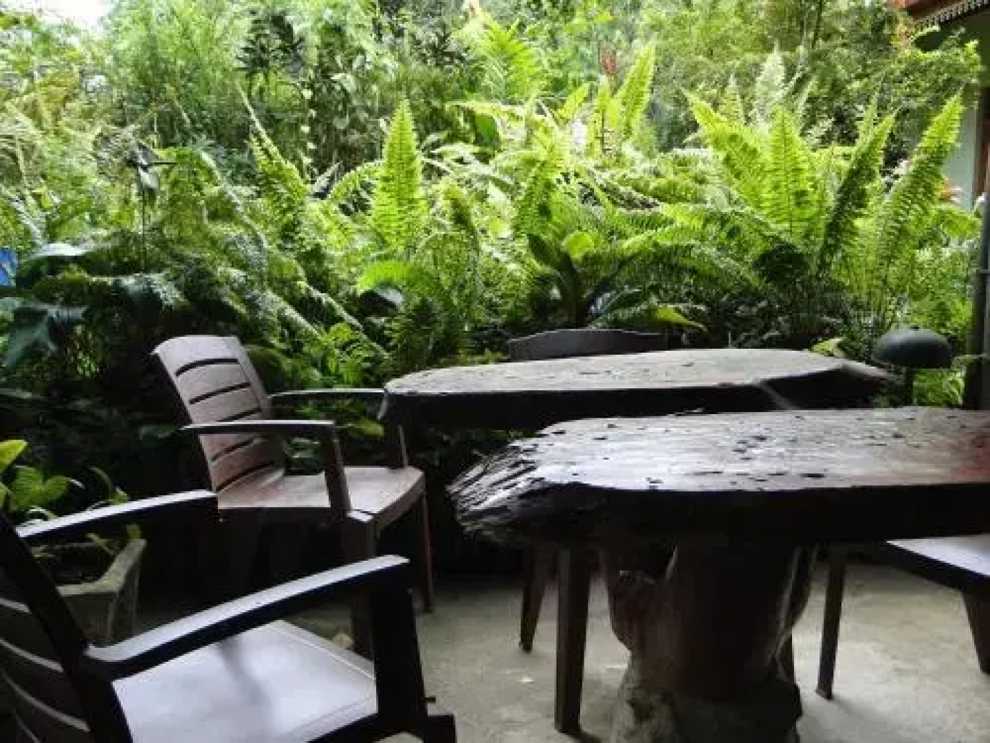 Sinharaja Rest