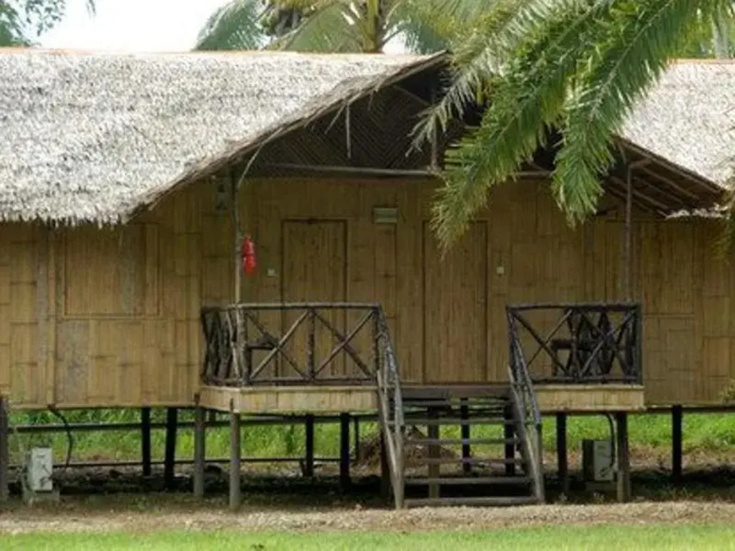 Borneo Proboscis River Lodge