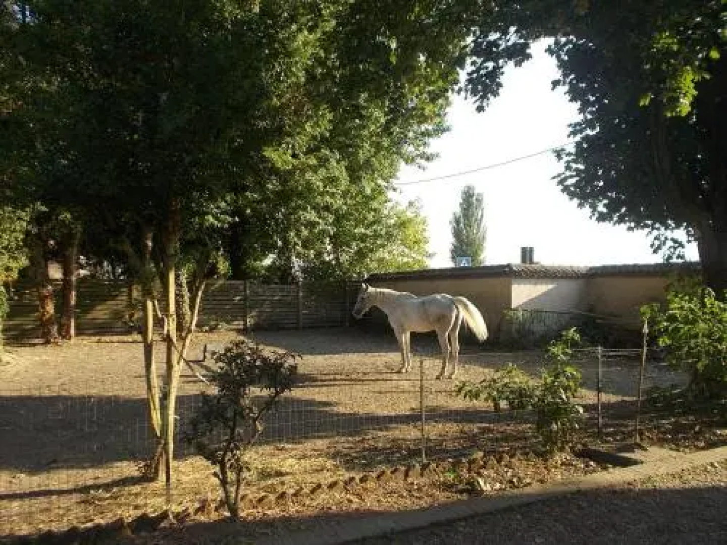 B&B Le Rivaldi la Maison vert
