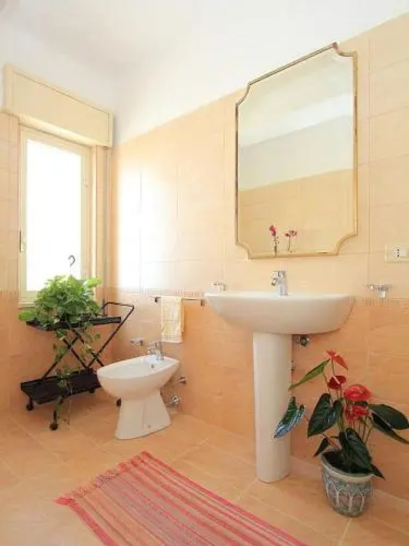 Terra Del Sole Seccagrande