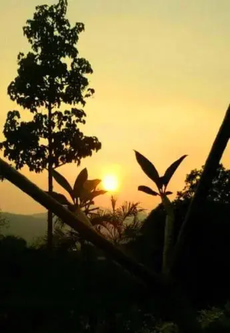 One@Nature, Mae Rim