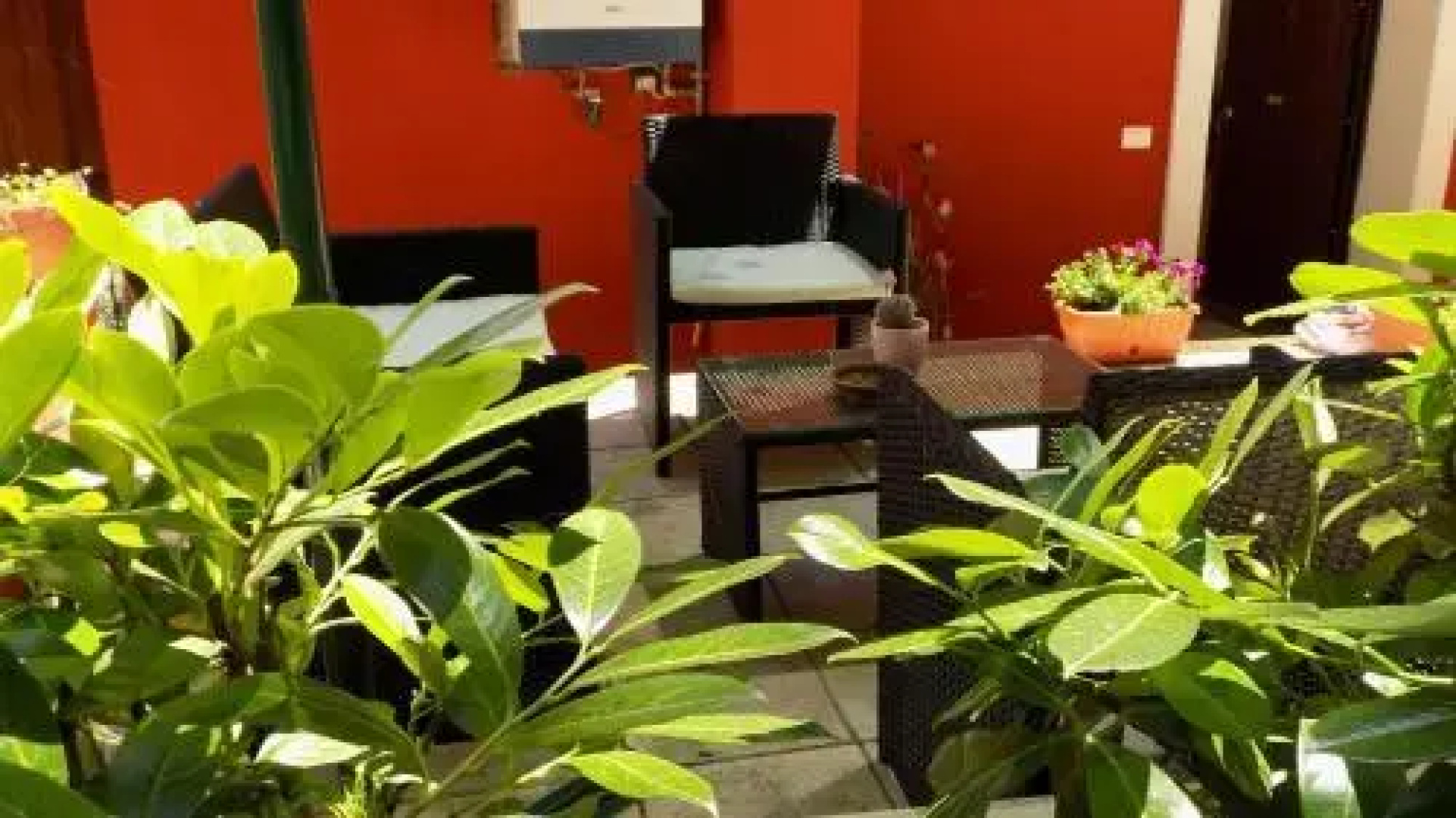 Il Giardino Delle Camelie BB