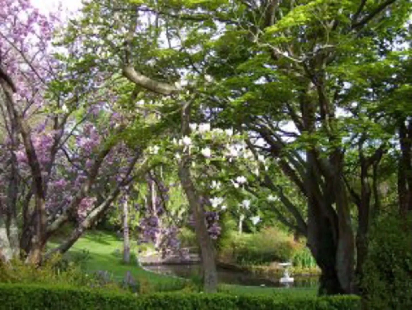 Glendale Bed  Breakfast