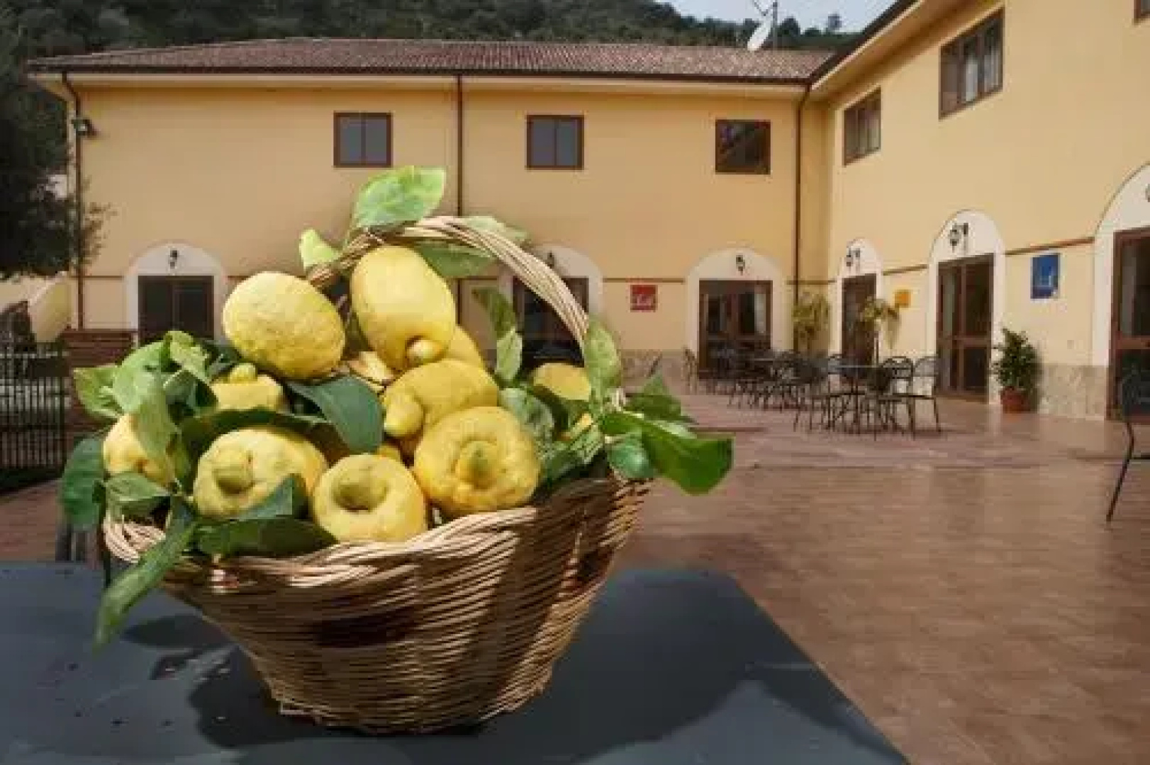 Villa Orchidea