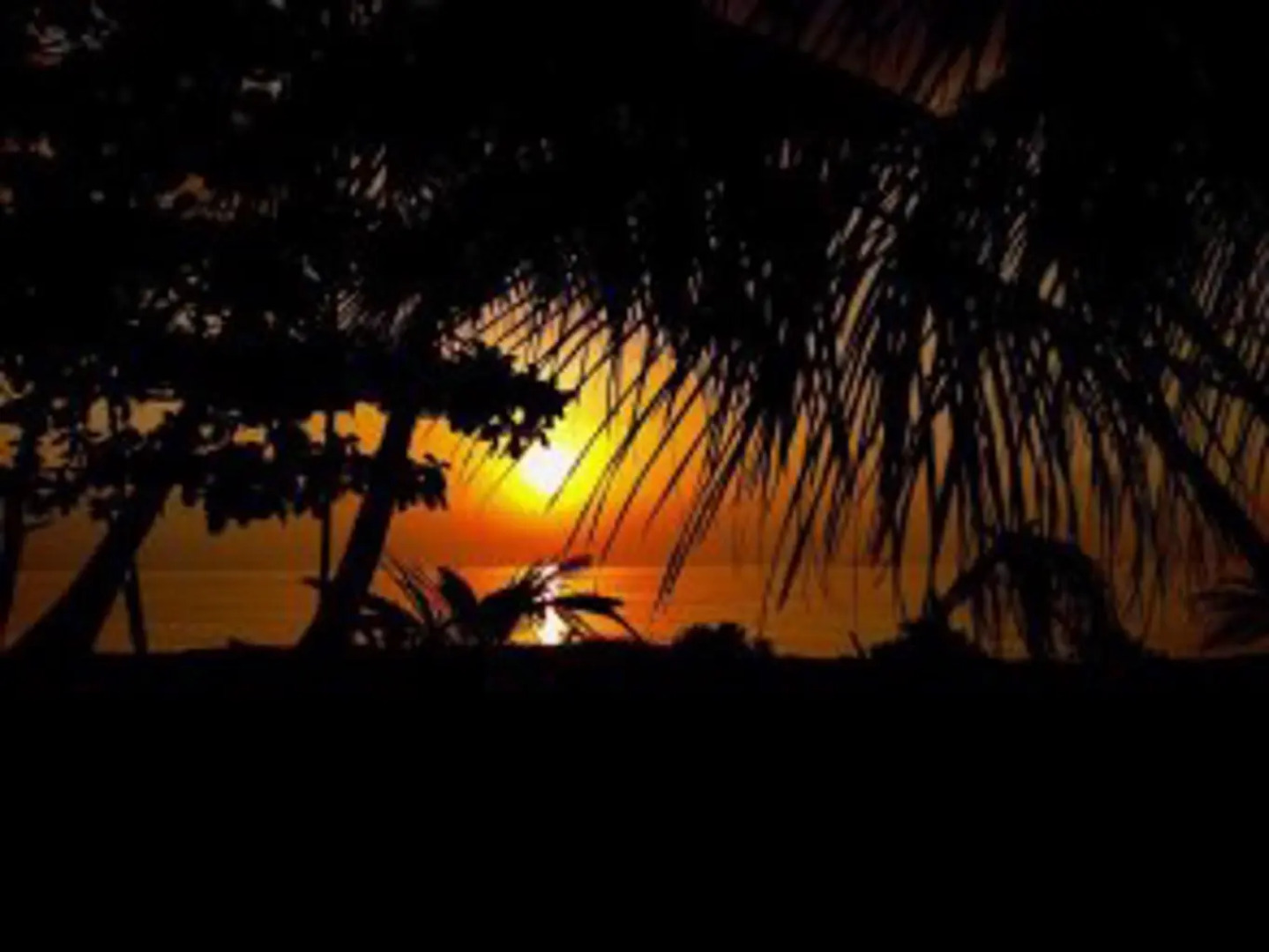 Local Adventure at Dhiffushi