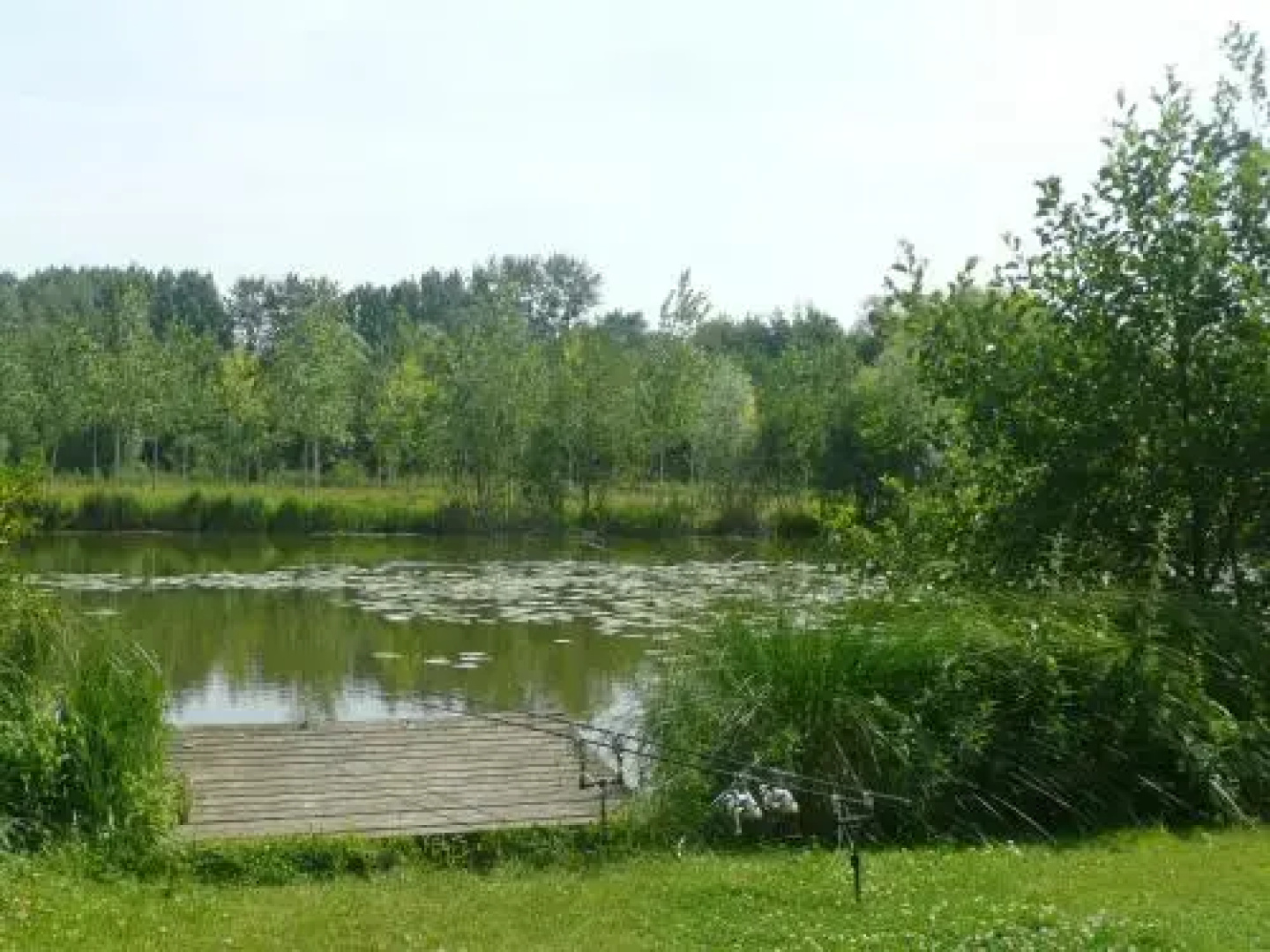 Camping du Vivier aux Carpes