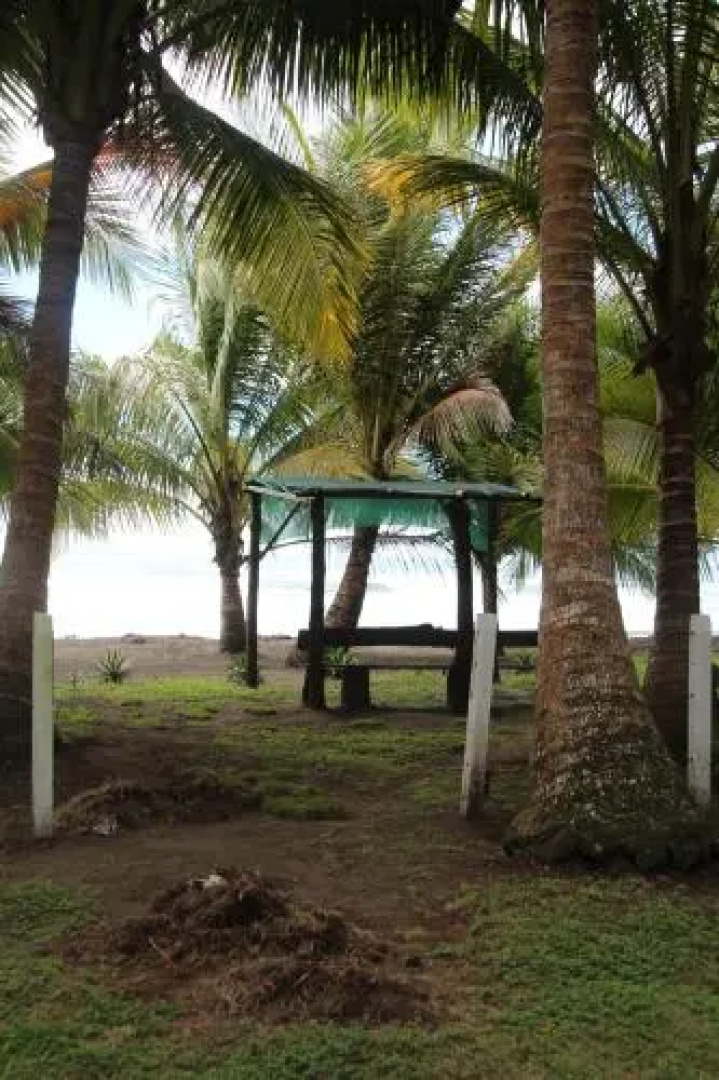 Nature House