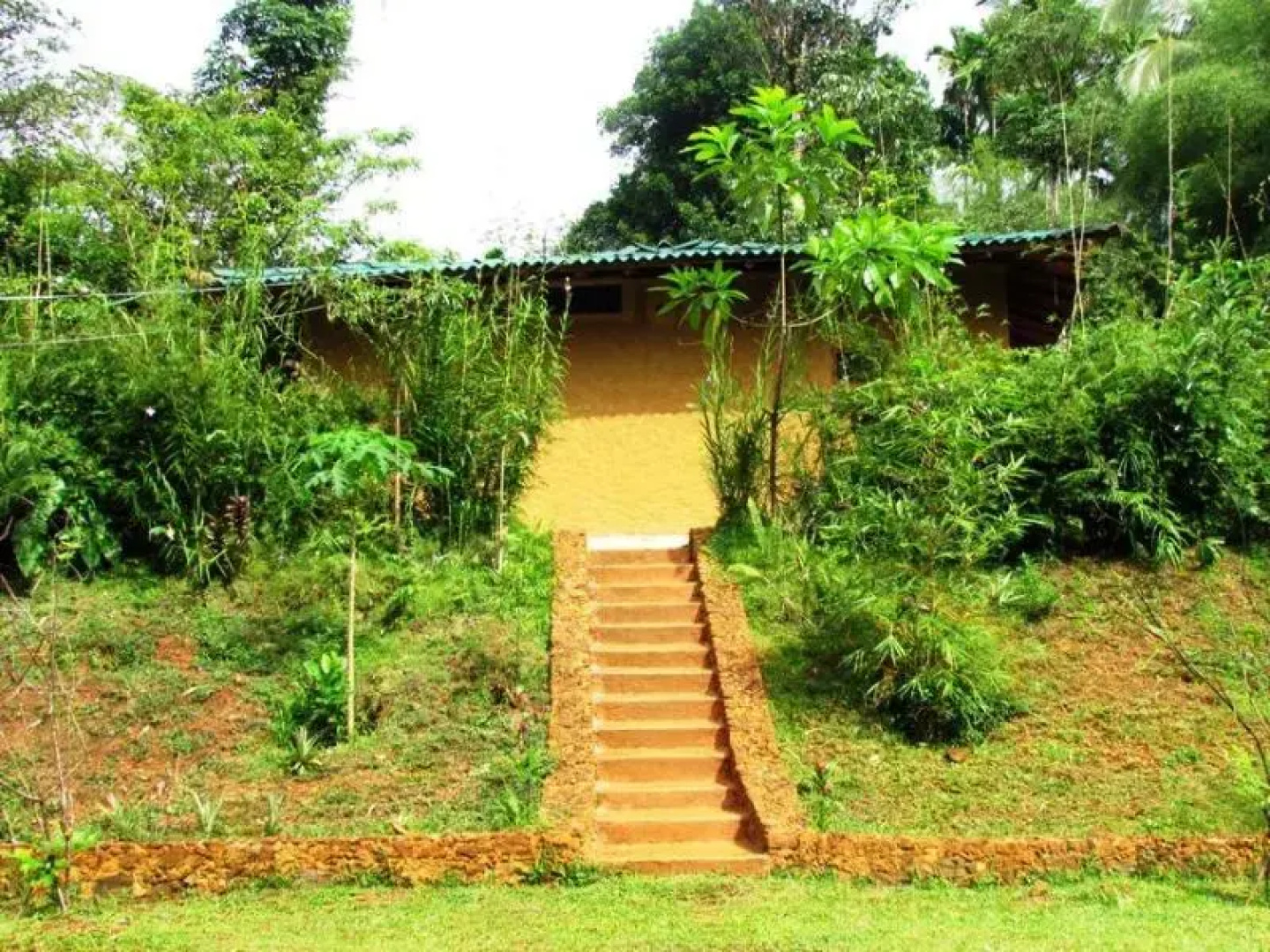 Sinharaja Eco lodge