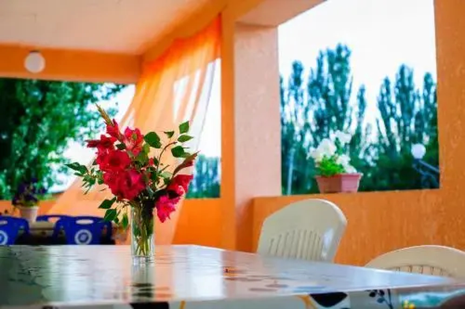 Guest House Issyk-Kul Nomad