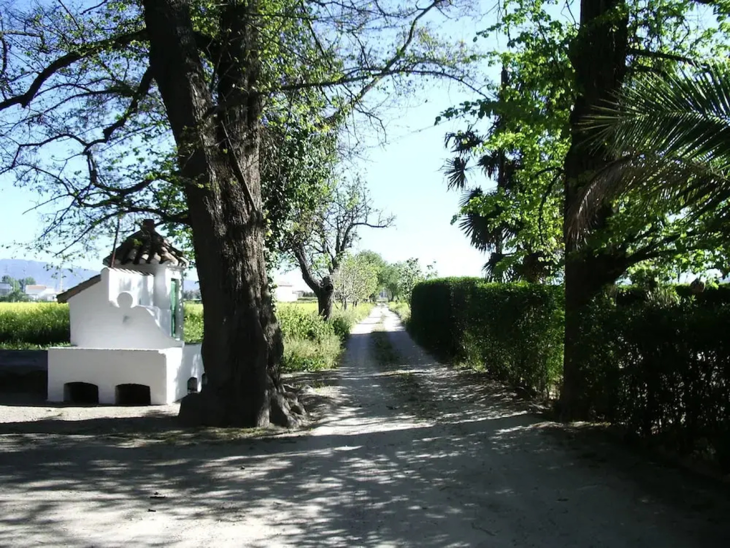 Cortijo del Pino