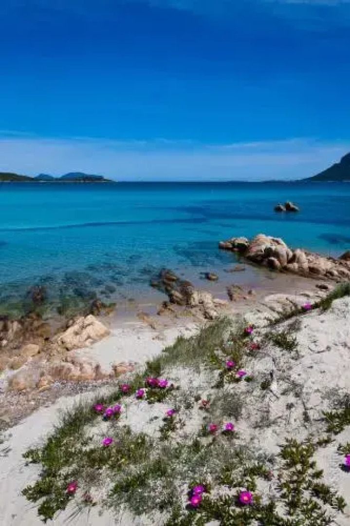 Smart Appart Cosy Sardinia