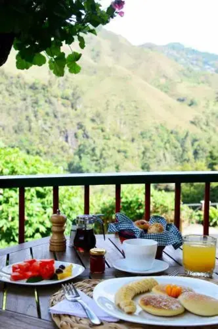 Reserva El Cairo - Valle de Cocora