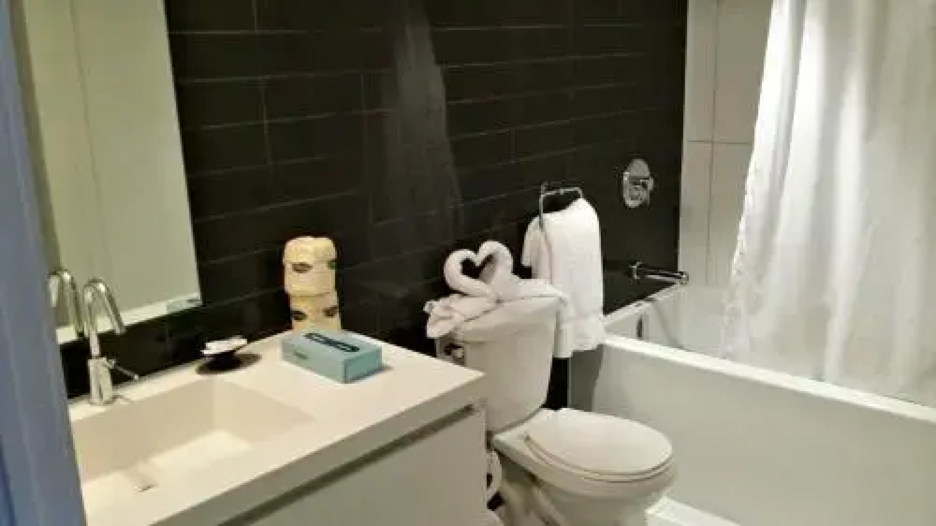 Pelican in Entertainment District Toronto