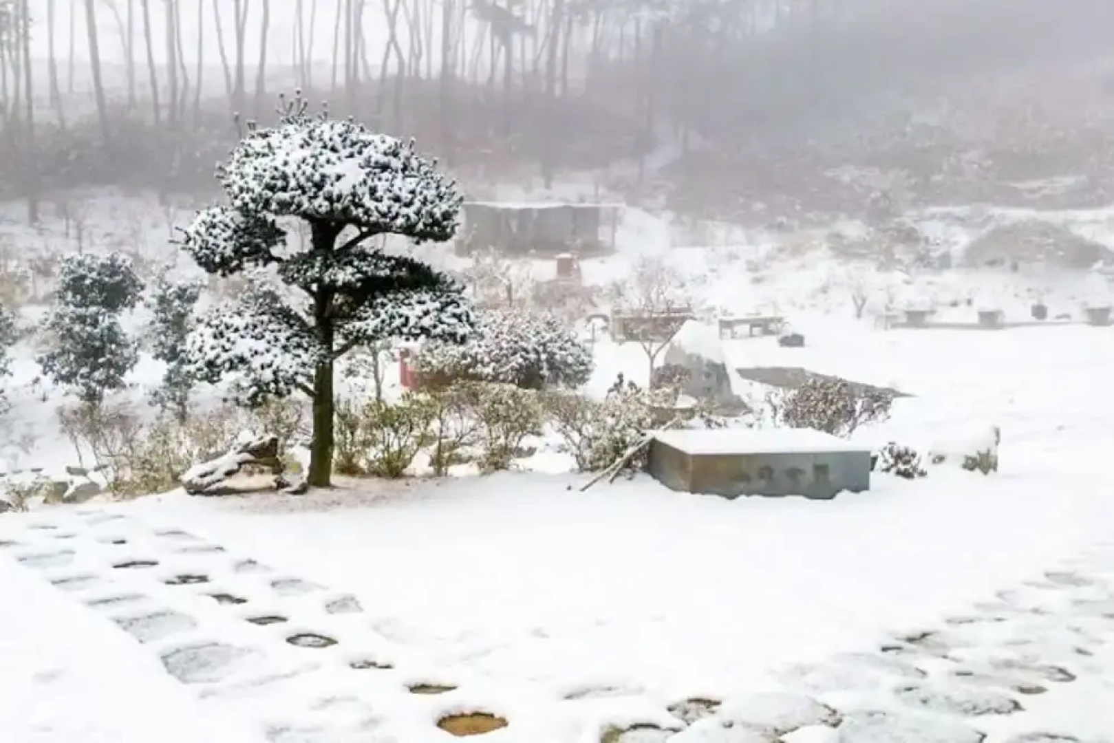 Seosan Pinehealing Pension