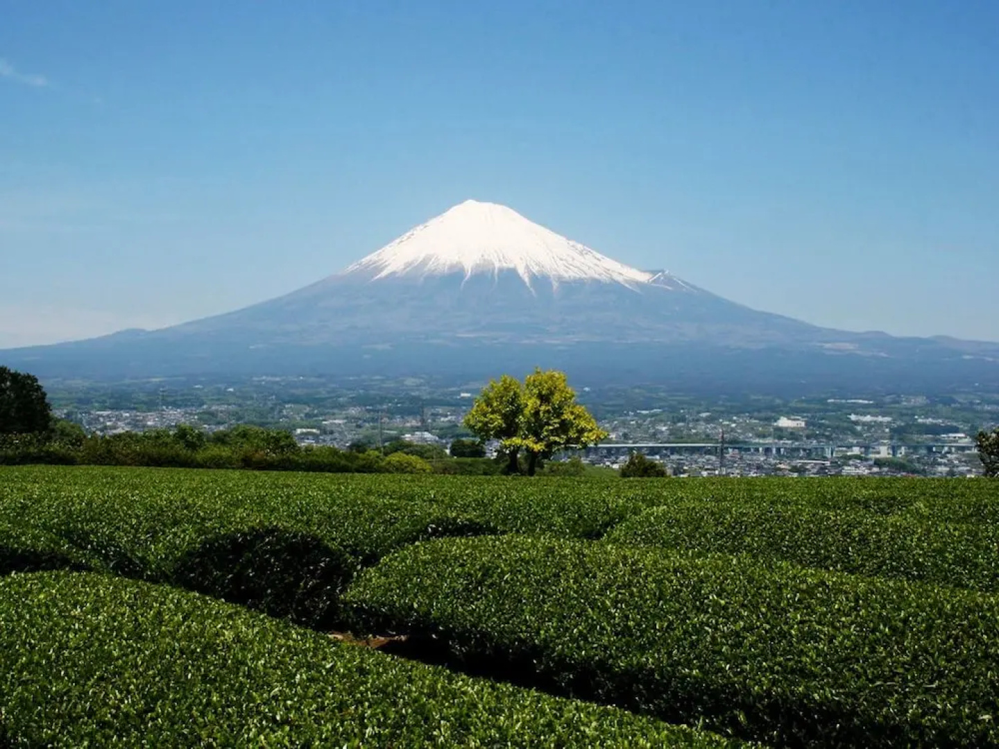 Hotel Tomioka-ya