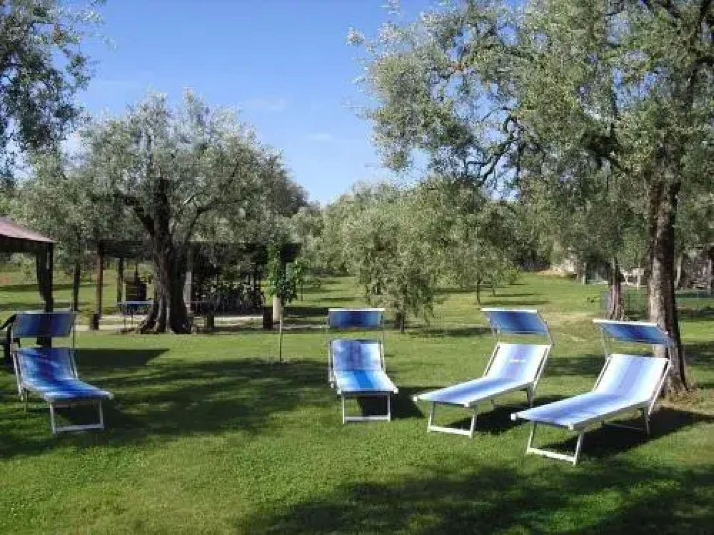 Campolivo