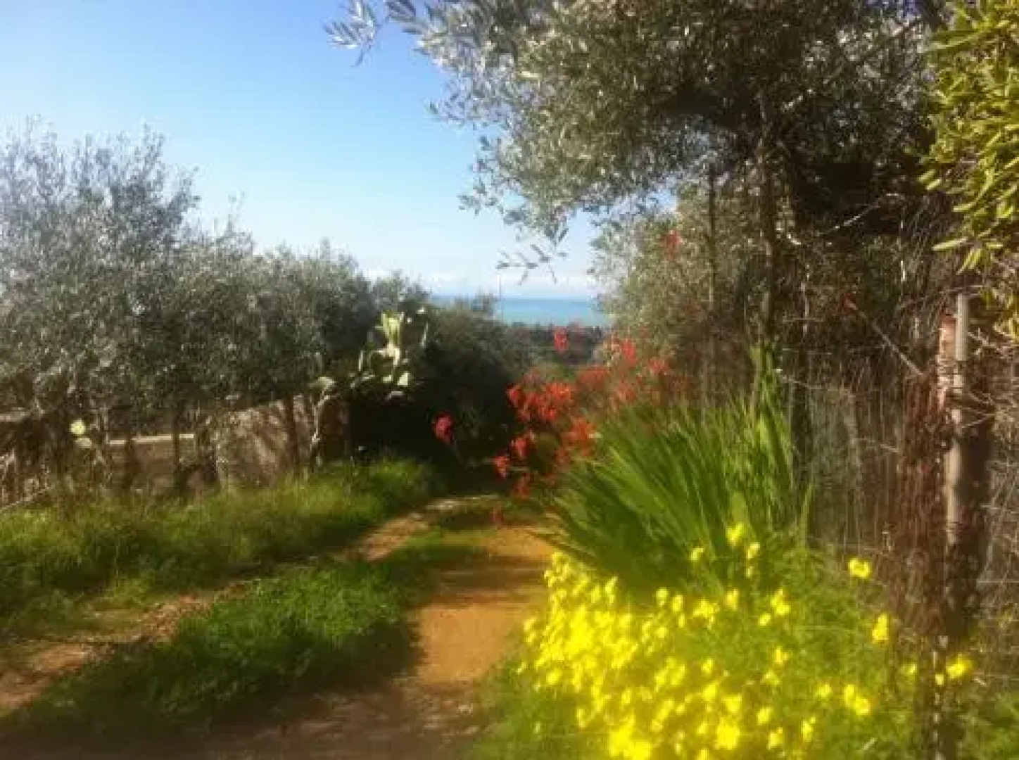 Pezzino Green Home