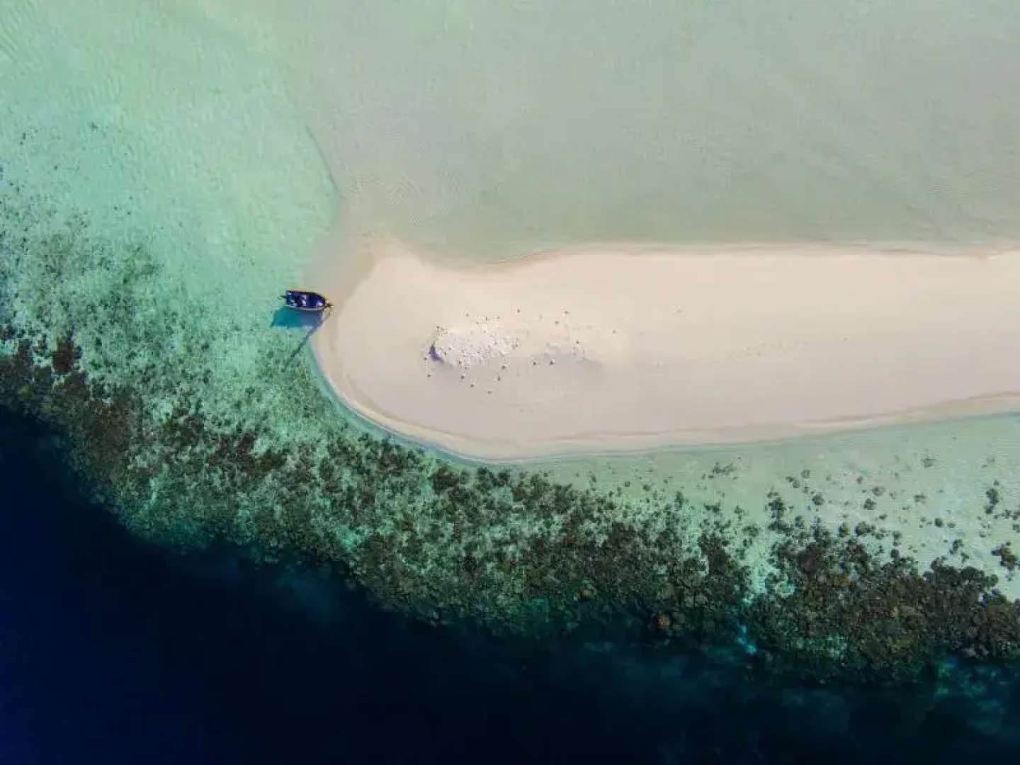 Magoodhoo Inn