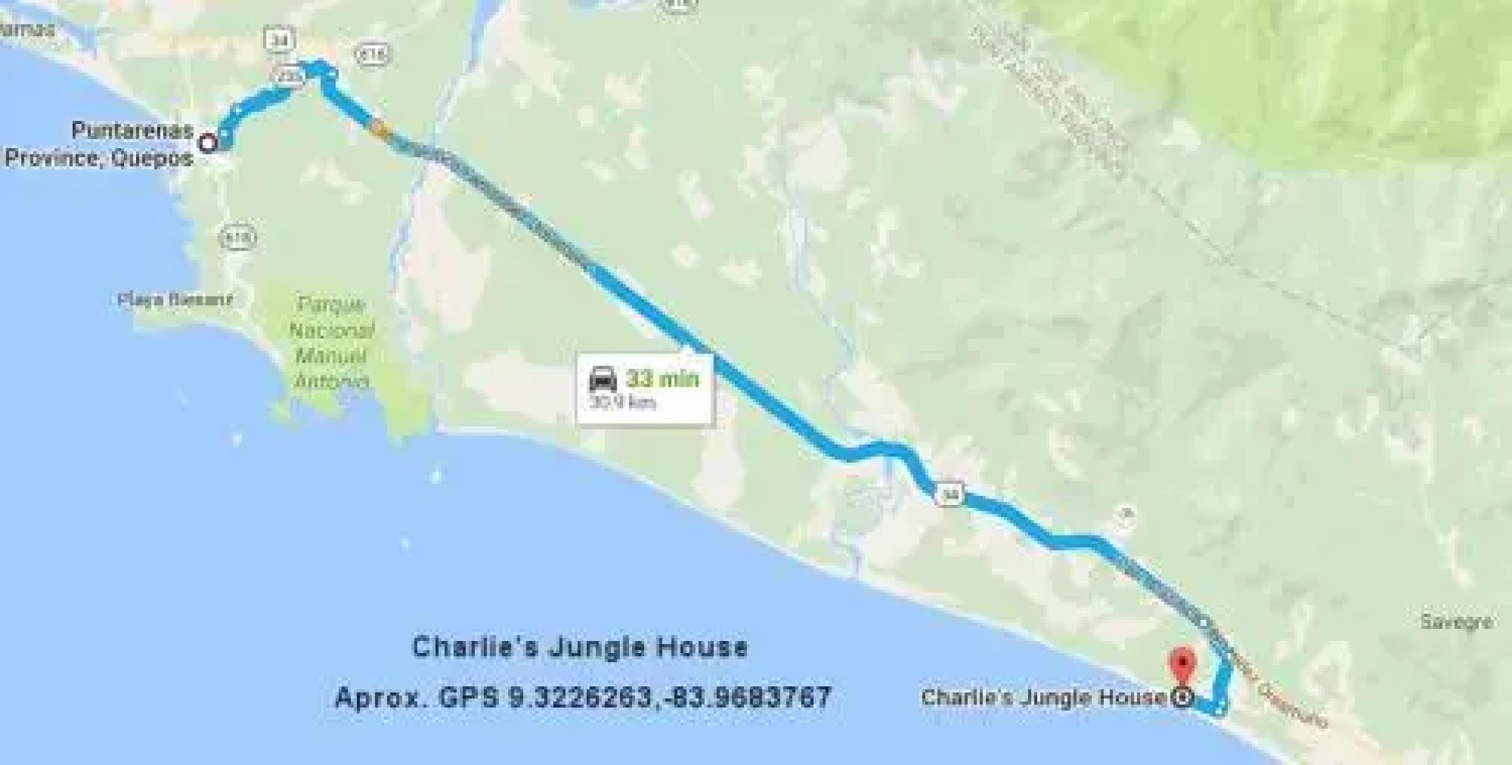 Charlie's Jungle House