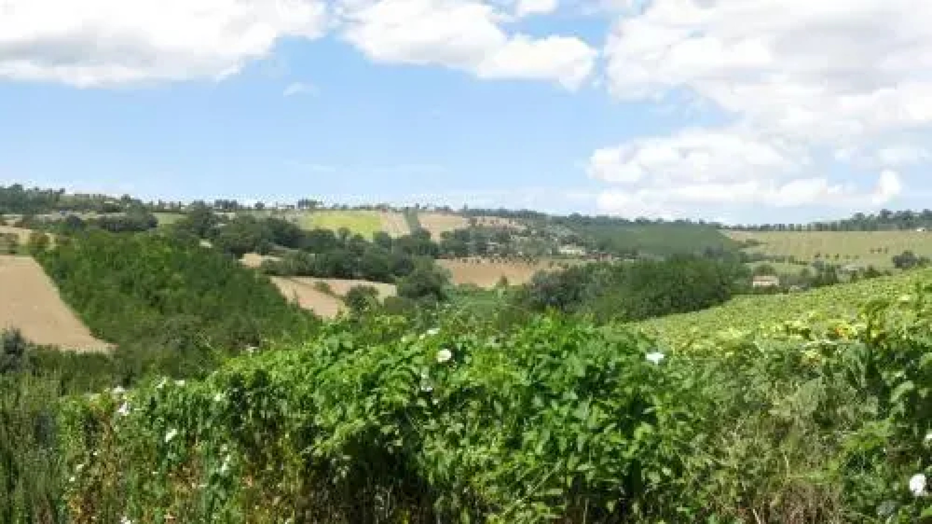 Villa Girasole