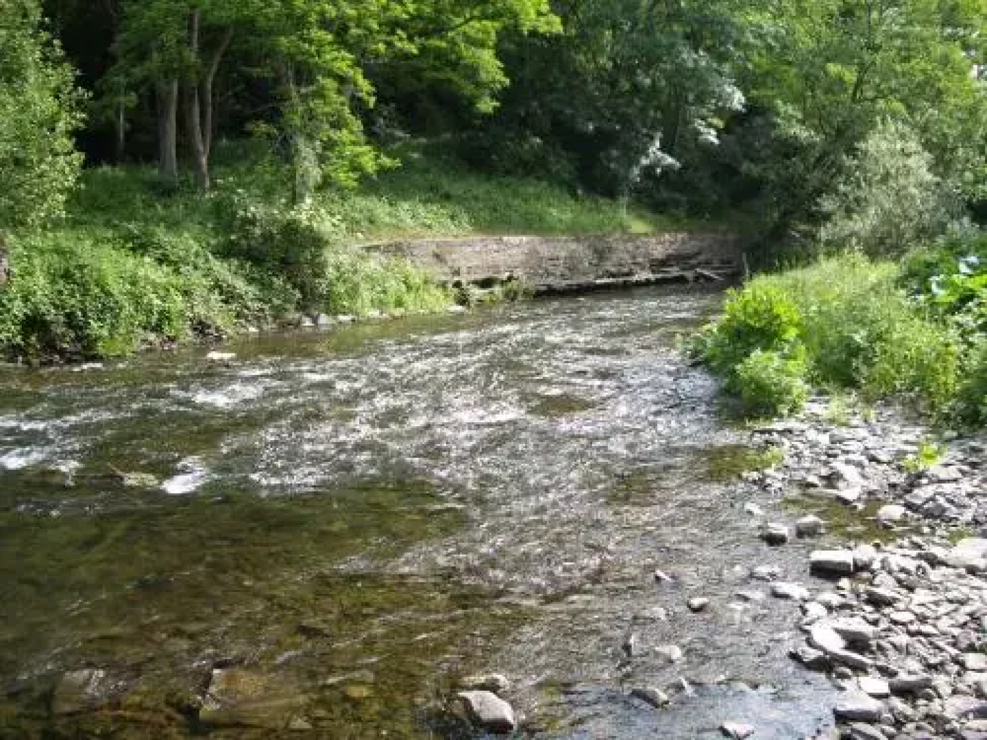 Ferienwohnung Werner