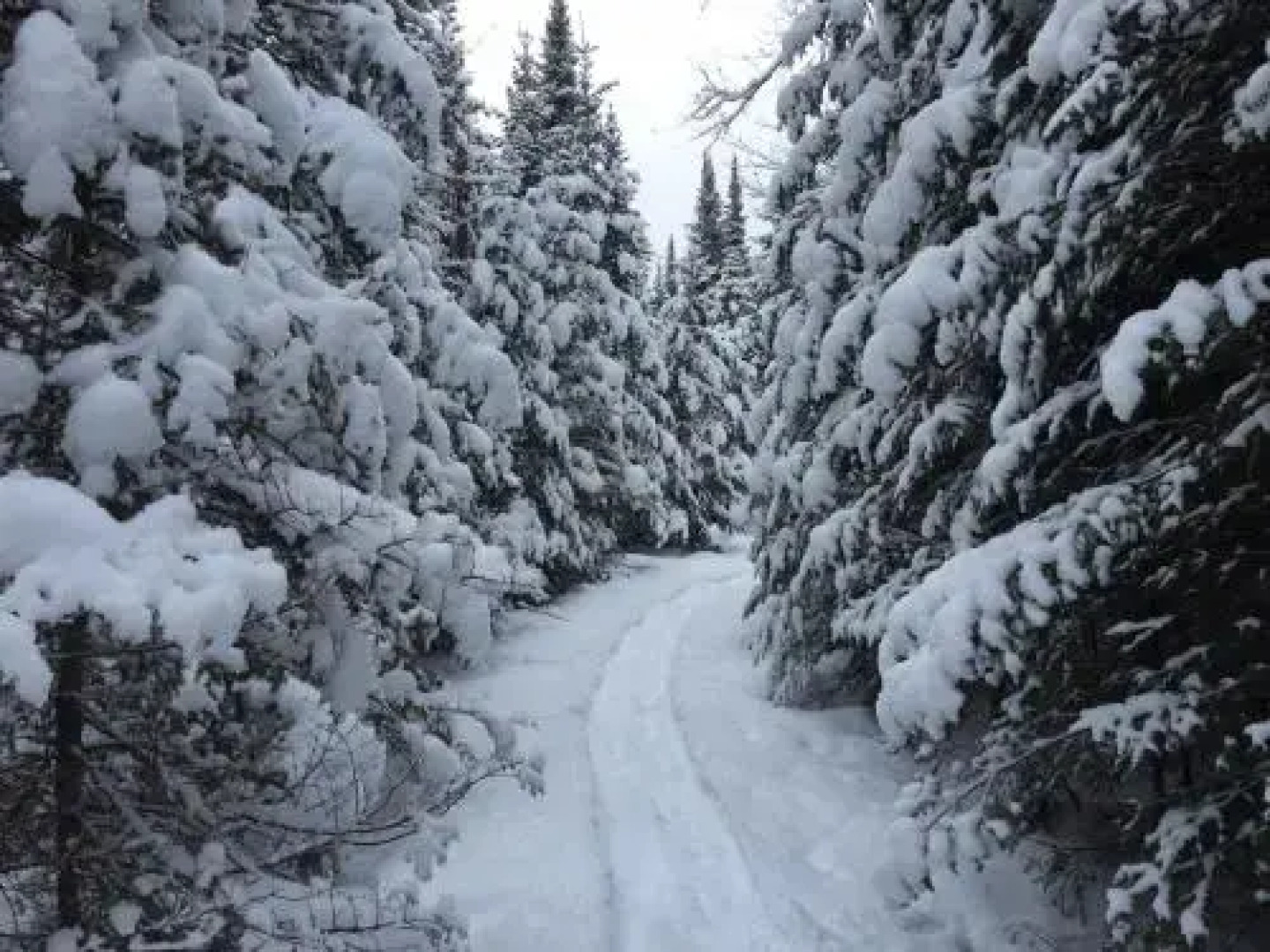 Lodge Nature Laurentides