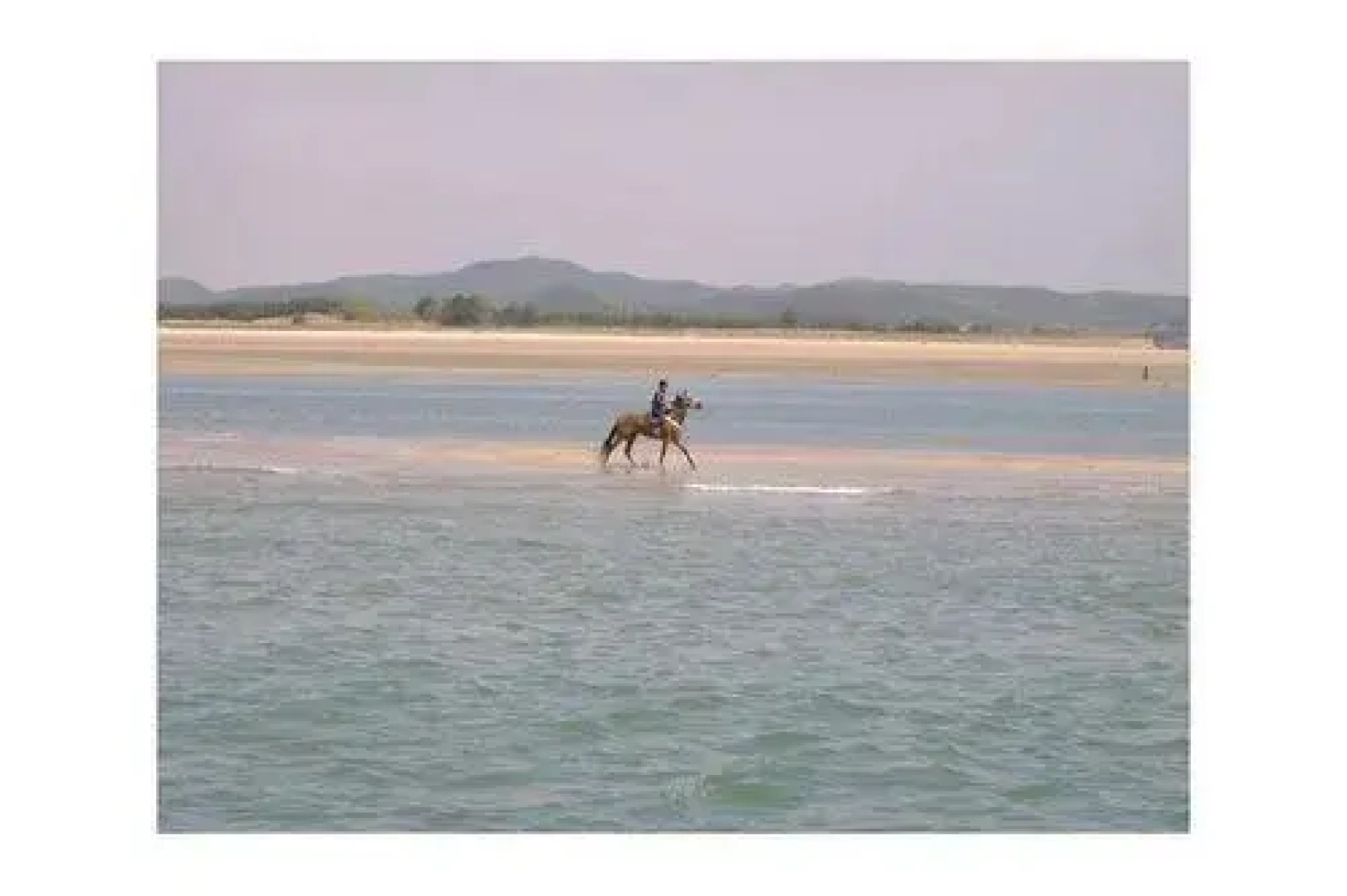 Anmyeondo Ocean Love Fishing Pension