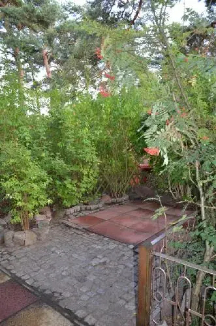 Ferienbungalow Mondfisch an der Ostsee