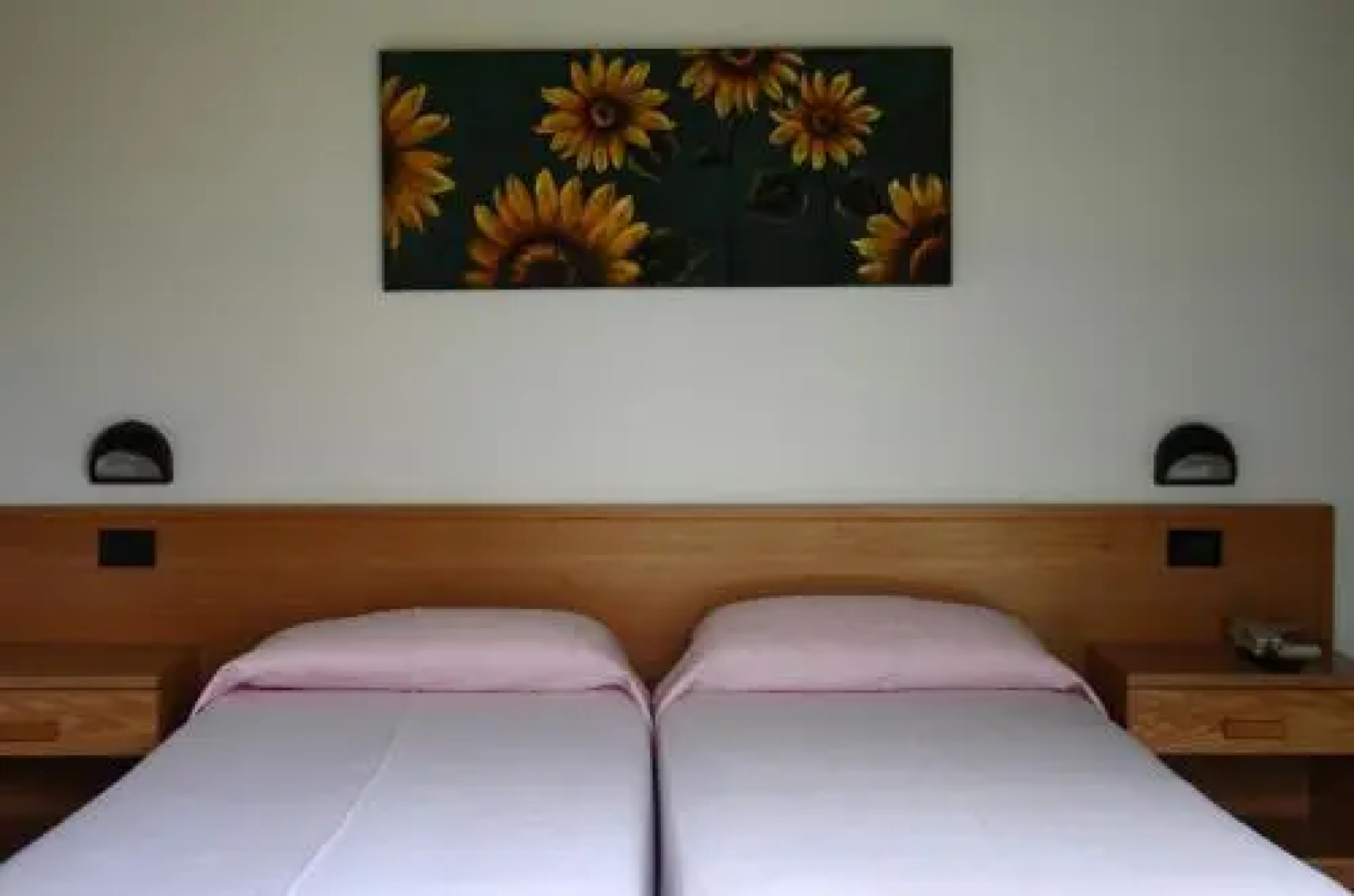 Albergo Stella Alpina