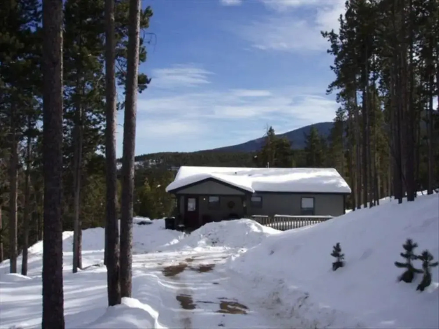 Wilderness Cabin on the Canyon
