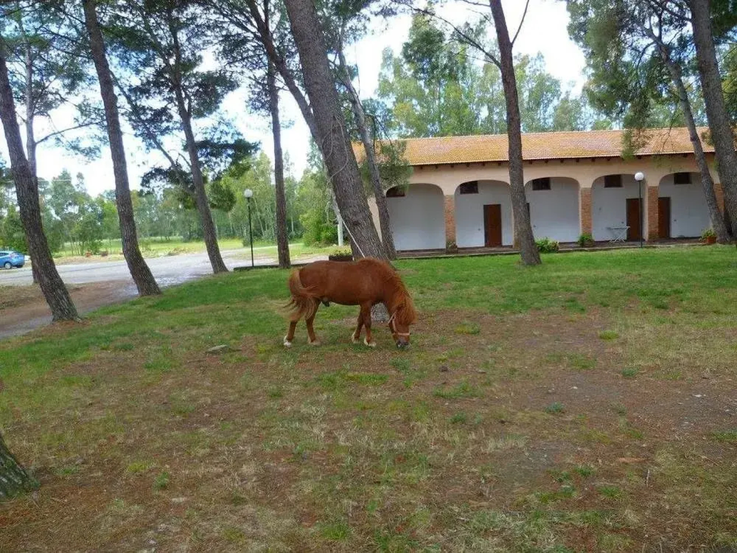 Agriturismo Agrifoglio