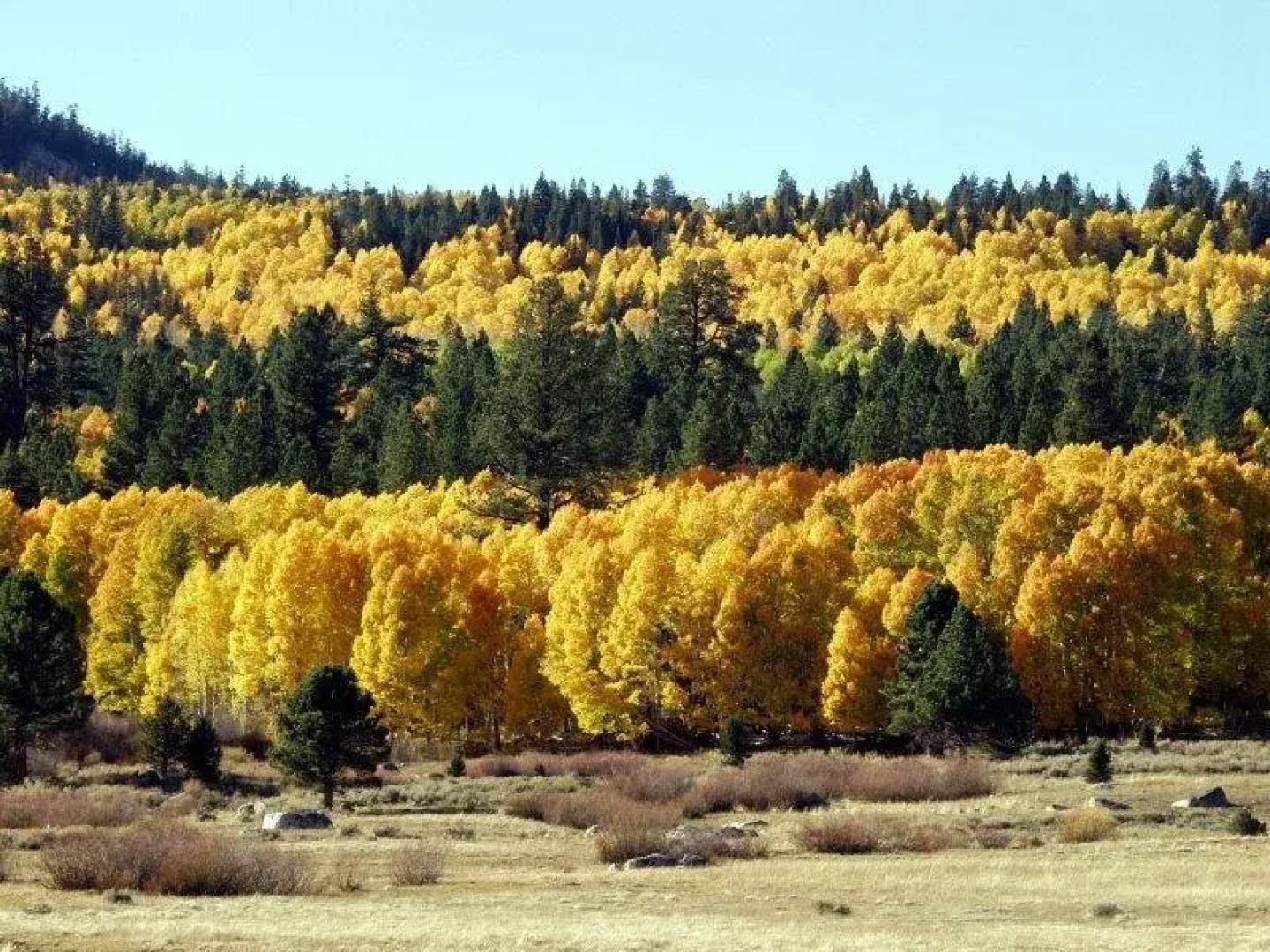 Base Camp Unit #39 2 Bedroom Condo