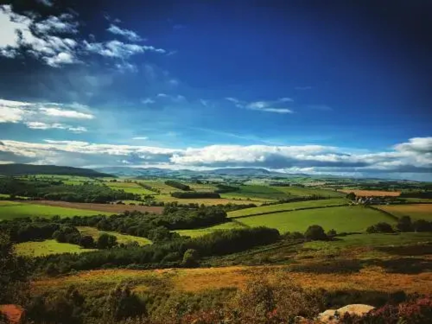 Silverdale Farm House