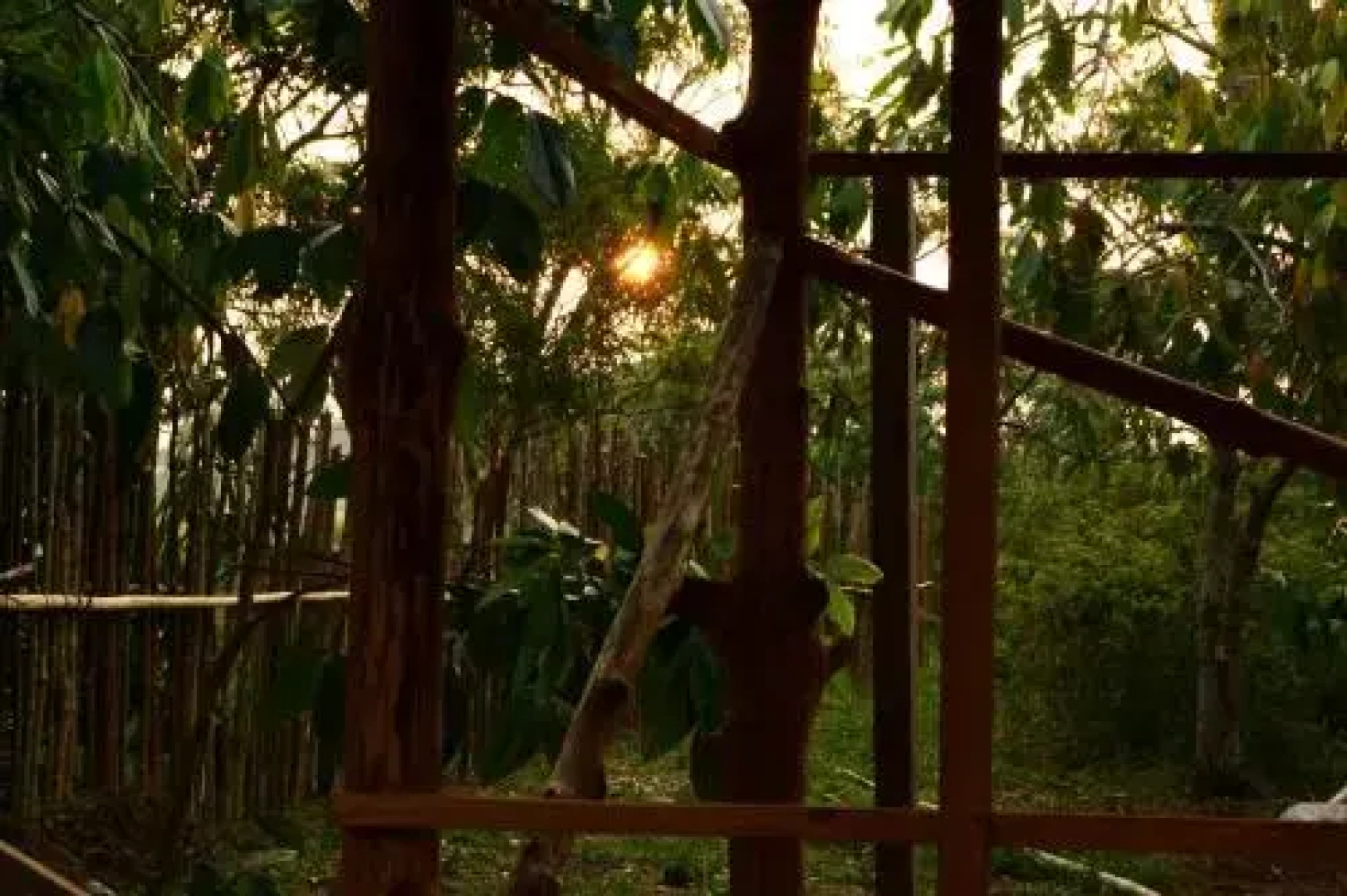 Comunidade do Xingu Camping Site