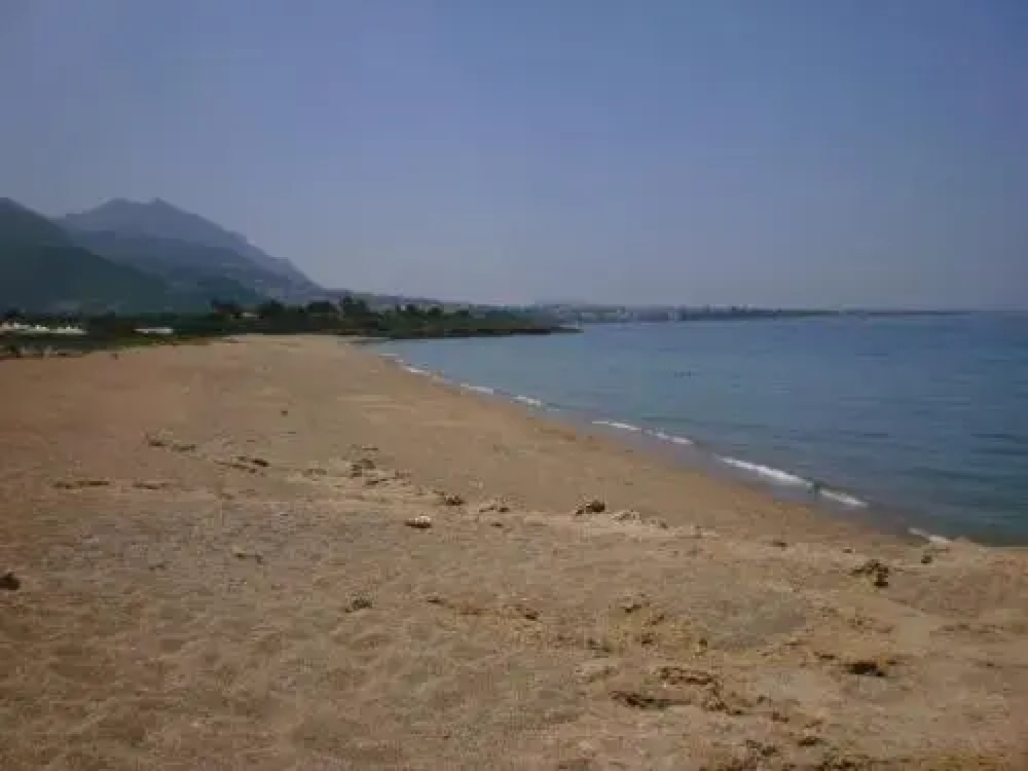 Sani Kasimis