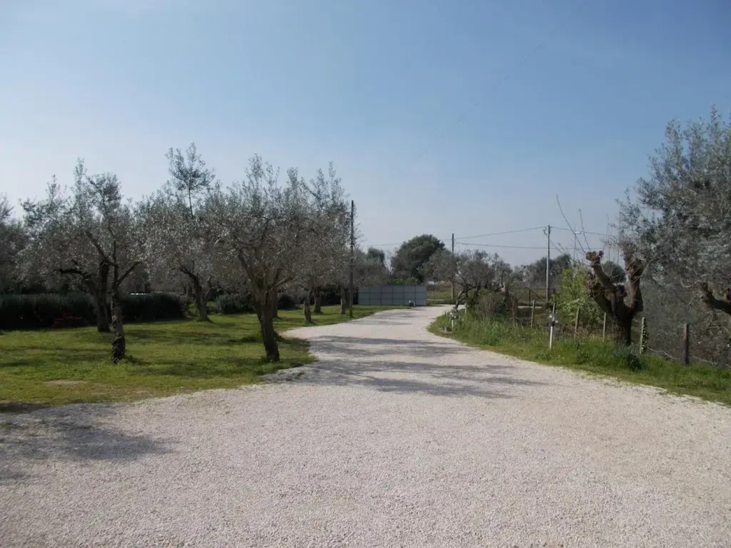 Parco Degli Ulivi